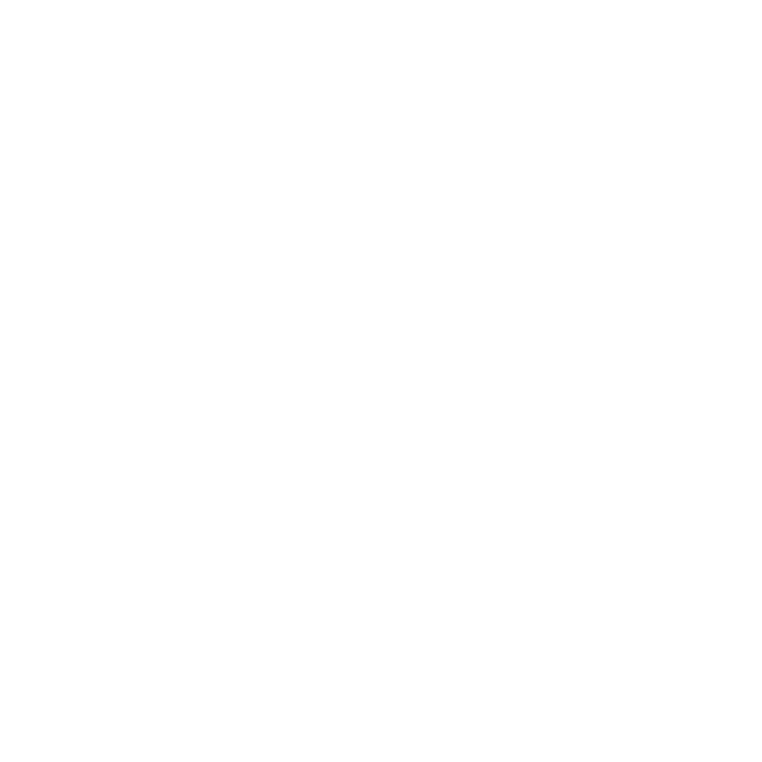 Regzo mini Icon